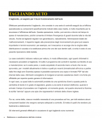 TAGLIANDO E REVISIONE